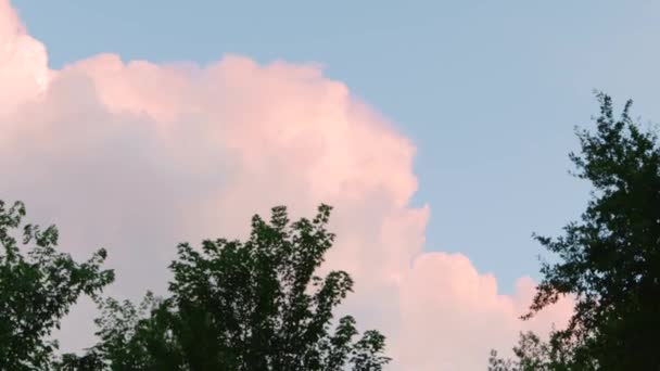 Rosa Cielo Nubes Fantasía Sueños Magenta Fondo Concept Fantasía Cuento — Vídeos de Stock