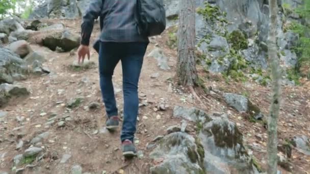 Uomo viaggiatore arrampicata rocce escursionismo selvaggio foreste settentrionali trekking — Video Stock