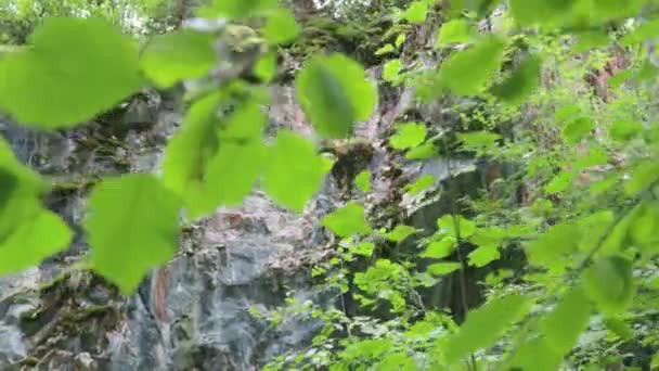 Landscape marble mountain canyon ruskeala north climate .dynamic movement up — Stock Video