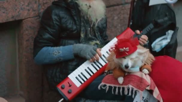 带着狗的街头音乐家 俄语题词 愉快地吠叫 概念音乐动物街头艺术 — 图库视频影像