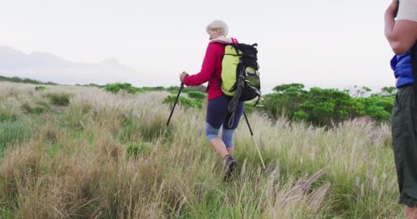 Idősek Hátizsákokkal Turistapóznákkal Hegyekben Sétálnak Füves Mezőn Túrázás Túrázás Természet — Stock videók