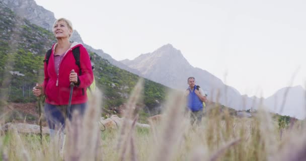 Idősek Hátizsákokkal Turistapóznákkal Hegyekben Sétálnak Füves Mezőn Túrázás Túrázás Természet — Stock videók