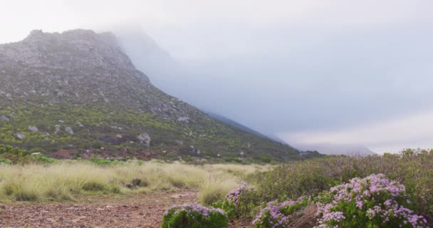 Widok Krajobrazu Krajobrazu Gór Lasów Trekking Turystyka Piesza Natura Aktywność — Wideo stockowe