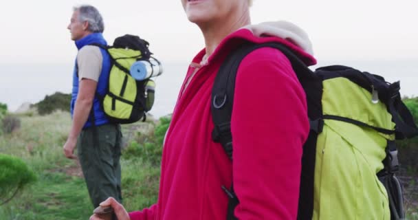 Sırt Çantalı Çim Tarlasında Sırıkla Gülümseyen Yaşlı Yürüyüşçü Kadın Portresi — Stok video