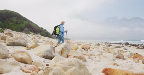 Idősebb Túrázó Hátizsákkal Túrázó Póznákkal Séta Közben Strandon Túrázás Túrázás — Stock videók