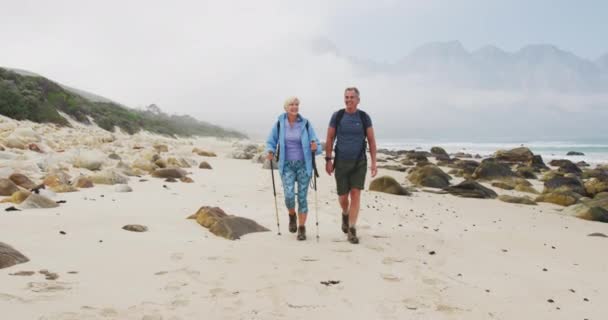 Idősebb Túrázó Pár Hátizsákkal Turistapóznákkal Akik Beszélgetnek Egymással Sétálnak Strandon — Stock videók