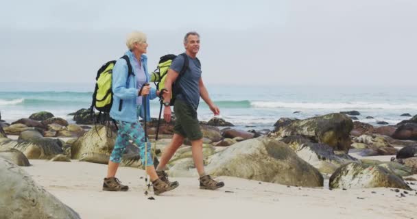 Couple Randonneurs Seniors Avec Sac Dos Bâtons Randonnée Qui Parlent — Video