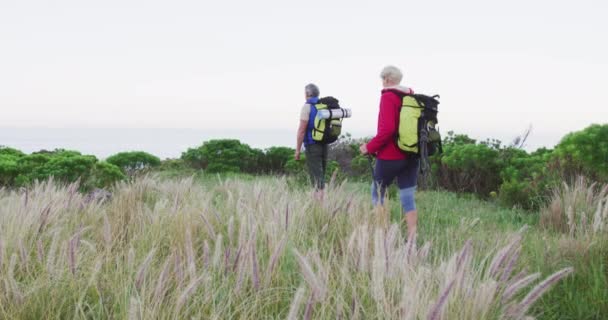 Idősebb Túrázó Pár Hátizsákkal Turistapóznákkal Miközben Füves Mezőn Sétálnak Túrázás — Stock videók