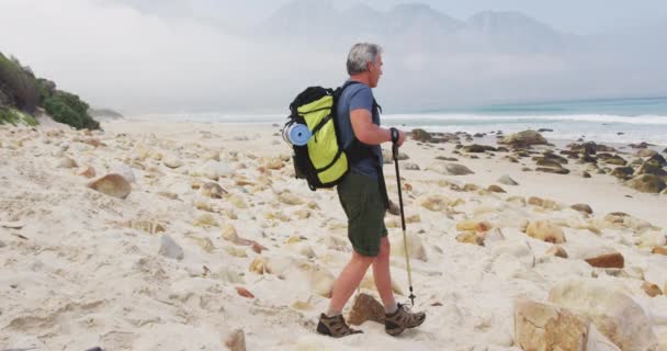 등산객은 배낭을 해변을 하이킹하면서 장대를 걷는다 하이킹 — 비디오