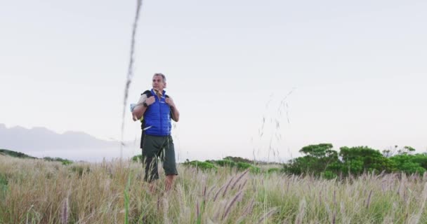 Senior Wandelaar Met Rugzak Wandelen Aanraken Van Wild Gras Het — Stockvideo