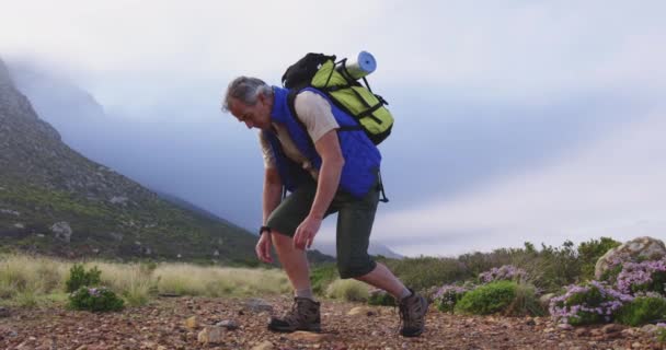 Senior Hiker Man Backpack Tying His Shoe Laces While Trekking — Stock Video