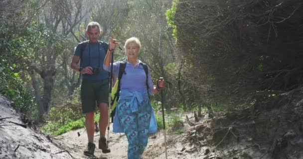 Couple Randonneurs Seniors Avec Sacs Dos Bâtons Randonnée Appareil Photo — Video
