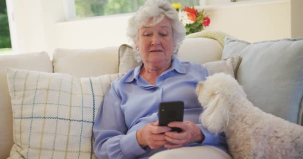 Beyaz Kadın Akıllı Telefon Kullanıyor Oturma Odasındaki Koltukta Evcil Köpeğiyle — Stok video