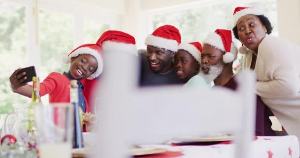 Eine Afroamerikanische Familie Mit Weihnachtsmannhüten Macht Ein Selfie Auf Dem — Stockvideo