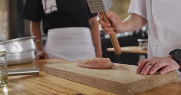 Diverso Gruppo Chef Che Preparano Piatti Sorridenti Salute Igiene Una — Video Stock