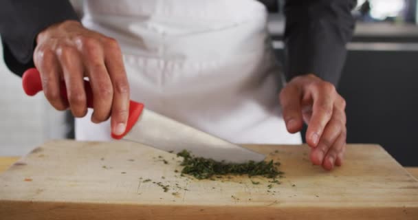 Chef Femenino Raza Mixta Cortando Verduras Preparar Platos Sonreír Trabajo — Vídeos de Stock