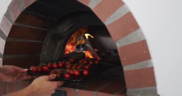 Vegyes Fajú Női Séf Paradicsomos Tányért Tesz Sütőbe Mosogatás Mosolygás — Stock videók