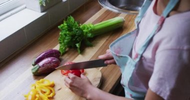 Karışık ırk lezbiyen çifti ve kızı mutfakta yemek hazırlıyorlar. Sebze doğruyorum. Coronavirus covid 19 salgını sırasında evde tek başına vakit geçirmek..