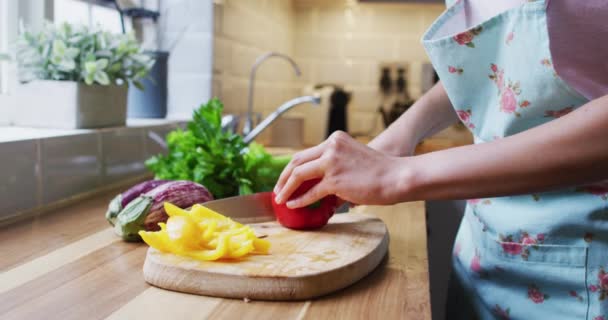 Mezcla Raza Lesbiana Pareja Hija Preparando Comida Cocina Picar Verduras — Vídeos de Stock