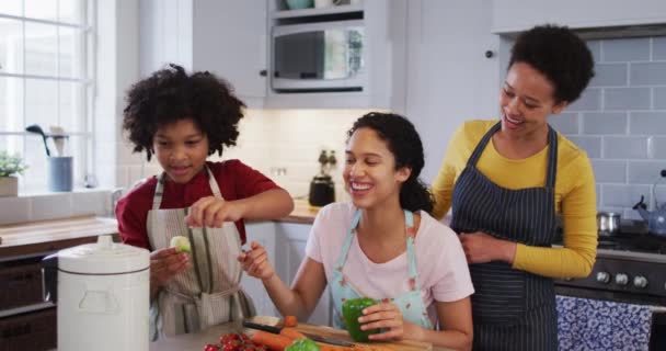 Gemengd Ras Lesbisch Paar Dochter Bereiden Eten Keuken Groenten Hakken — Stockvideo