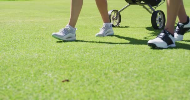 Две кавказки играют в гольф с сумкой, заполненной клюшками для гольфа — стоковое видео