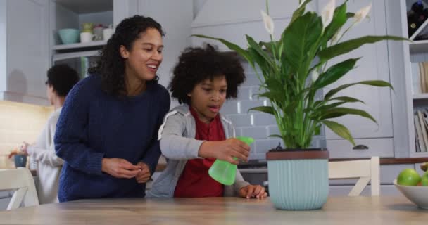 Gemengd ras lesbisch paar en dochter drenken planten in keuken — Stockvideo