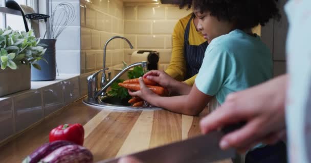 Gemischte Rasse lesbisches Paar und Tochter bereiten Essen in Küche zu — Stockvideo