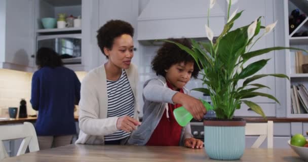 Лесбиянки смешанной расы и дочь поливают растения на кухне — стоковое видео