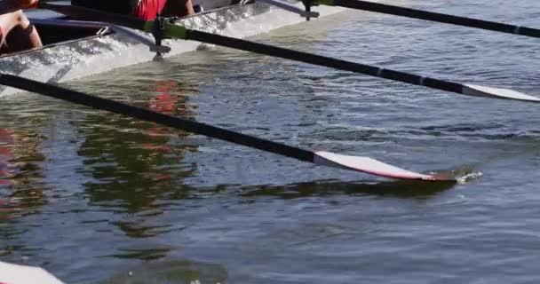 Quatro Homens Mulheres Caucasianos Remar Num Rio Esporte Aposentadoria Lazer — Vídeo de Stock