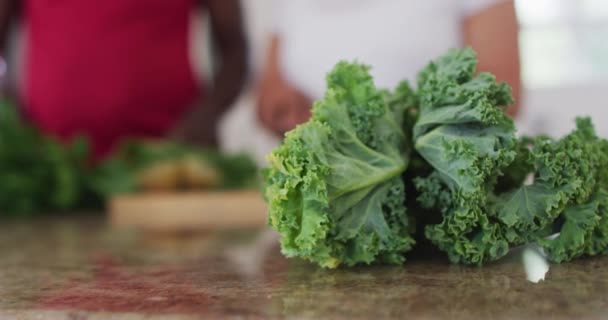 自宅で果物や野菜の健康飲料を準備するシニアアフリカ系アメリカ人男性と女性 老人ホームでの健康フィットネス — ストック動画