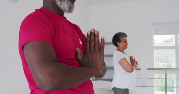 Diverse Grupuri Seniori Care Iau Parte Clasa Fitness Acasă Sănătate — Videoclip de stoc