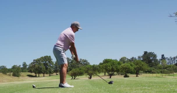 어르신 코스에서 골프를 있습니다 스포츠와 활동적 — 비디오