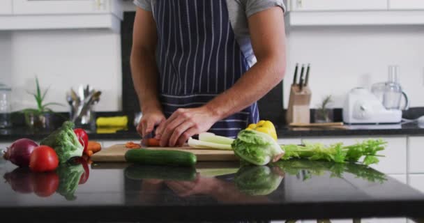 家庭の台所でエプロンのみじん切り野菜を身に着けている白人男性の中央部 隔離されたまま家にいると — ストック動画