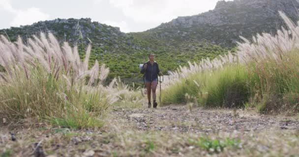 Αφροαμερικανή γυναίκα με πασσάλους πεζοπορίας περπατώντας, ενώ πεζοπορία στα βουνά — Αρχείο Βίντεο
