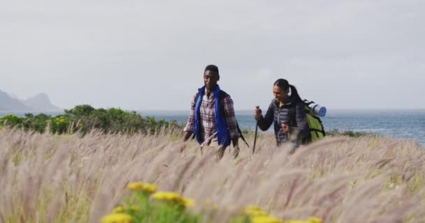 Afroamerikanisches Paar beim Wandern in den Bergen — Stockvideo