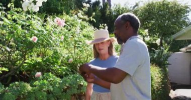 Bahçelerindeki çeşitli yaşlı çiftler bitkilere bakıyor ve güneşte konuşuyorlar. Karantina süresince evde tecrit altında kalmak.