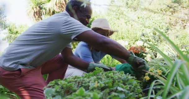 Feliz Diversa Pareja Ancianos Plantando Plantas Jardín Hablando Permanecer Casa — Vídeo de stock