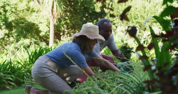 Heureux Couple Personnes Âgées Diverses Plantant Des Plantes Dans Leur — Video