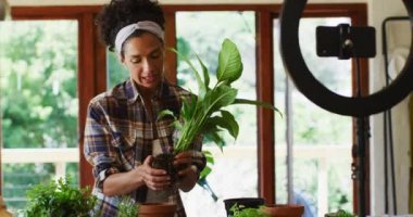 Karışık ırk kadın vlogcu ot bitkileri naklediyor ve akıllı telefondan evde kayıt yapıyor. Karantina karantinasında tek başına evde kalmak