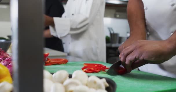 Sezione Centrale Diversi Gruppi Chef Che Tagliano Verdure Nella Cucina — Video Stock