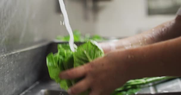 Zamknij Się Kaukaska Kobieta Szef Kuchni Mycie Warzyw Kuchni Restauracji — Wideo stockowe
