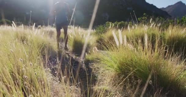 Afrykański Amerykanin Przemierza Kraj Biegając Górach Trening Fitness Zdrowy Styl — Wideo stockowe