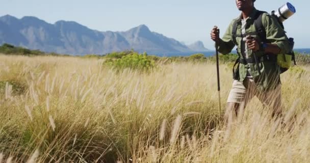 Homem Afro Americano Caminhando Com Postes Caminhada Paisagem Montanhosa Treinamento — Vídeo de Stock