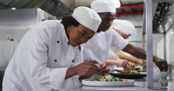 Divers Groupes Chefs Garnissant Des Plats Similaires Dans Cuisine Restaurant — Video