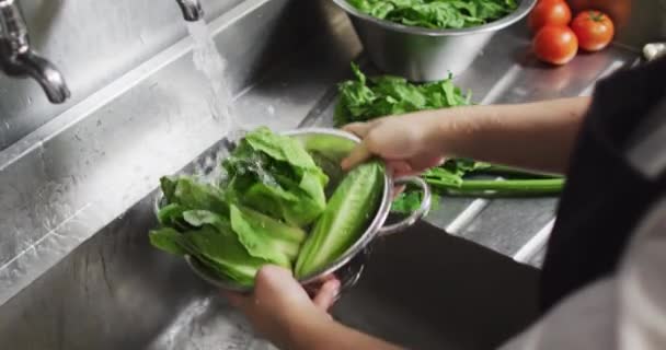 Caucasian Female Chef Washing Vegetables Colander Restaurant Kitchen Working Busy — Stock videók
