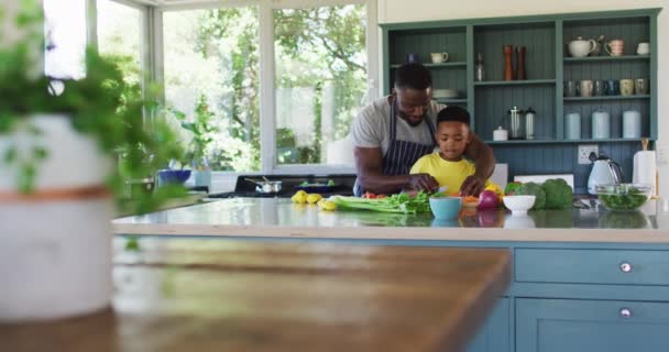 Afroamericani Padre Figlio Cucina Indossando Grembiuli Preparando Cena Insieme Stare — Video Stock