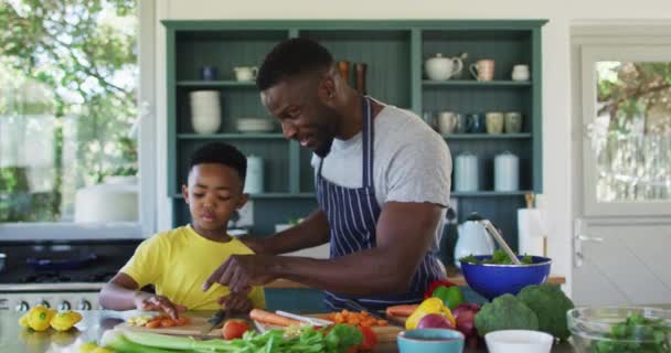 エプロンを着用し 一緒に夕食を準備キッチンでアフリカ系アメリカ人の父と息子 隔離されたまま家にいると — ストック動画