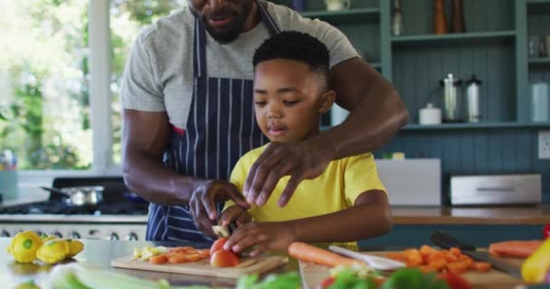 Africký Americký Otec Syn Kuchyni Nosí Zástěry Společně Připravují Večeři — Stock video
