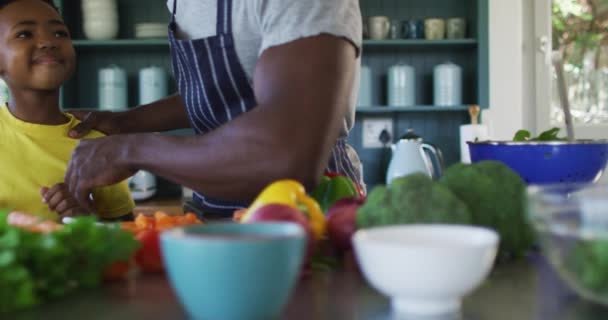Afrika Kökenli Amerikalı Baba Oğul Mutfakta Önlük Giyip Birlikte Yemek — Stok video