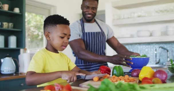 Afrykański Amerykański Ojciec Syn Kuchni Ubrani Fartuchy Przygotowujący Razem Kolację — Wideo stockowe